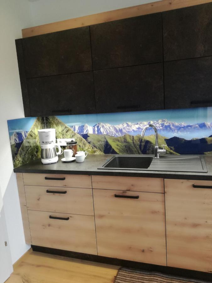 גרובמינג Appartement Ferienwohnung Bergahorn Groebming מראה חיצוני תמונה